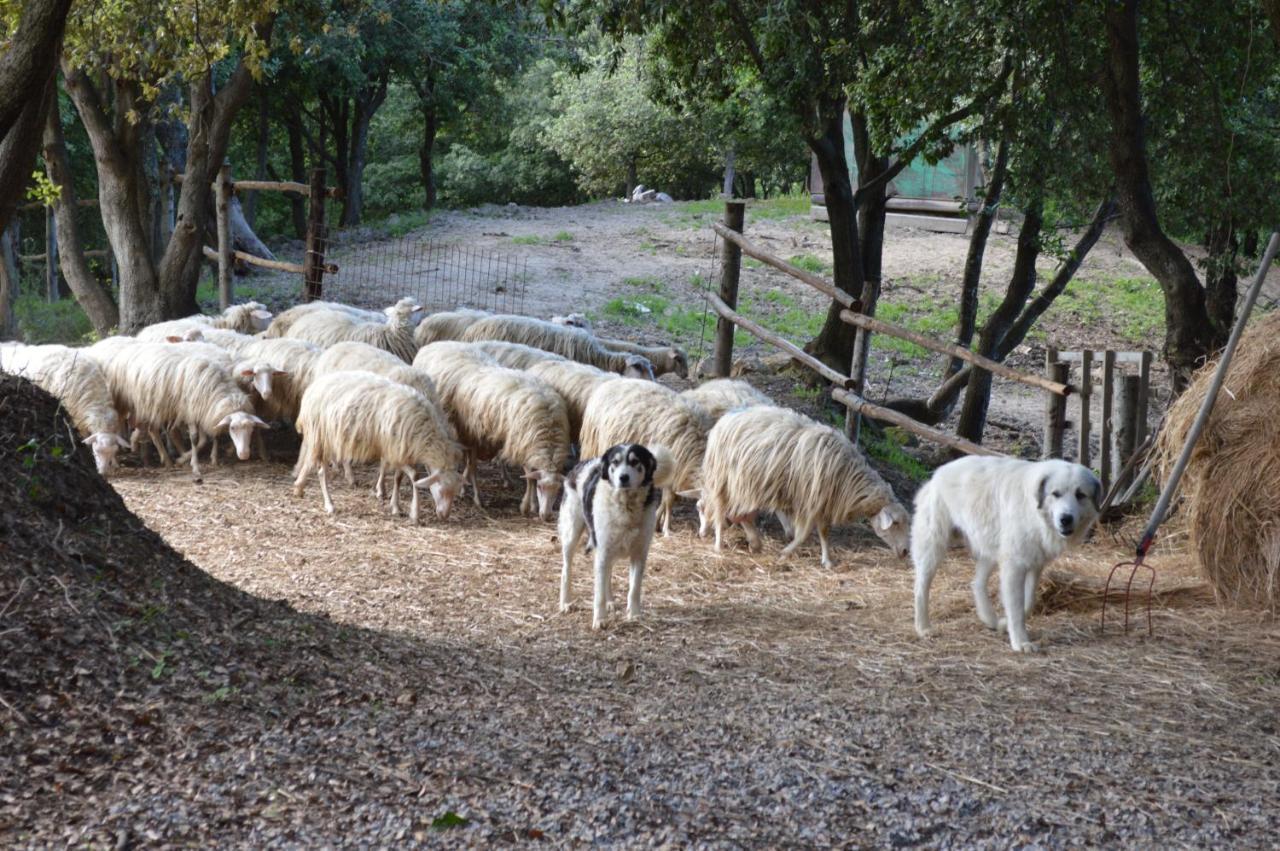Bellavista Villa Seggiano Bagian luar foto