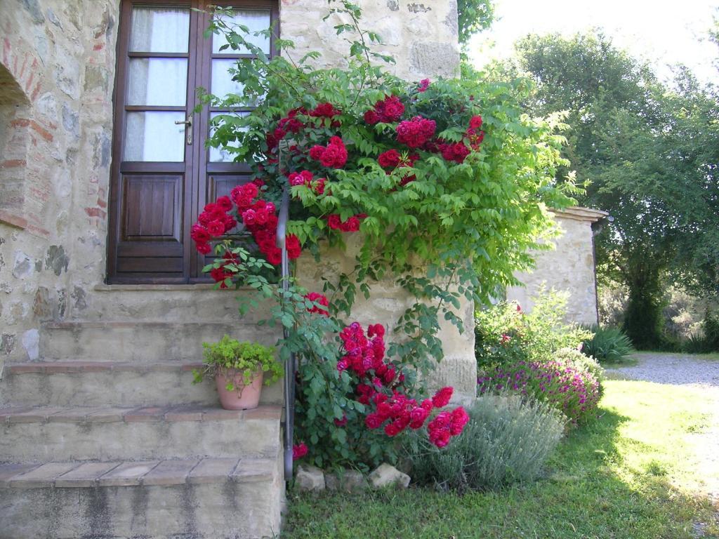 Bellavista Villa Seggiano Bagian luar foto
