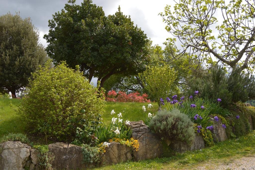 Bellavista Villa Seggiano Bagian luar foto